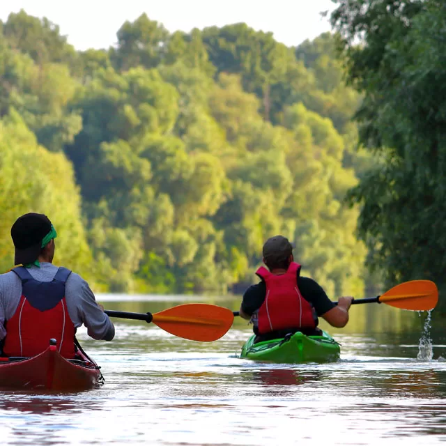 Explore nearby parks.